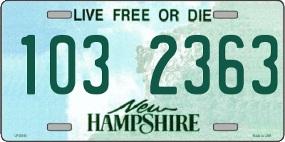 NH license plate 1032363