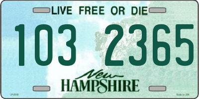 NH license plate 1032365