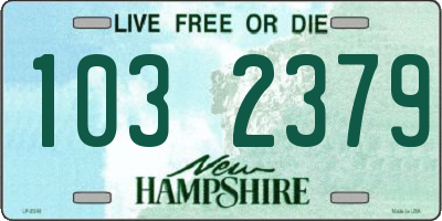 NH license plate 1032379