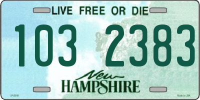 NH license plate 1032383