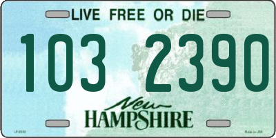 NH license plate 1032390