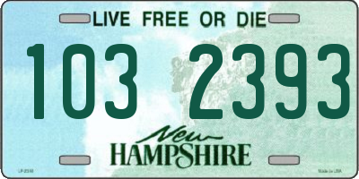 NH license plate 1032393