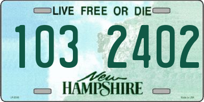 NH license plate 1032402
