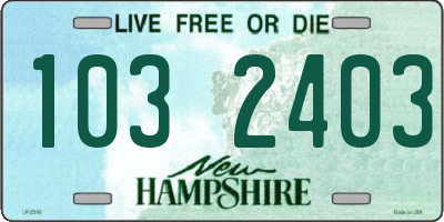 NH license plate 1032403