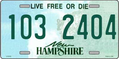NH license plate 1032404