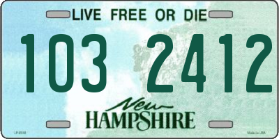 NH license plate 1032412