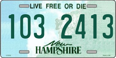 NH license plate 1032413