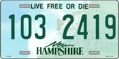 NH license plate 1032419