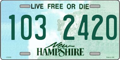 NH license plate 1032420