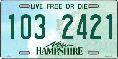 NH license plate 1032421