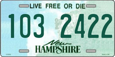 NH license plate 1032422
