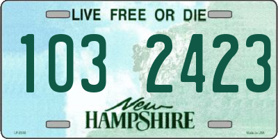 NH license plate 1032423