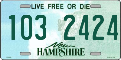 NH license plate 1032424
