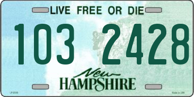NH license plate 1032428