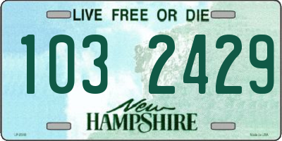 NH license plate 1032429