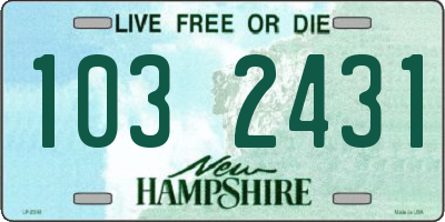 NH license plate 1032431