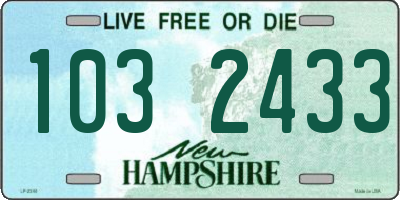 NH license plate 1032433