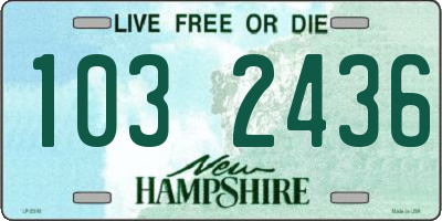 NH license plate 1032436