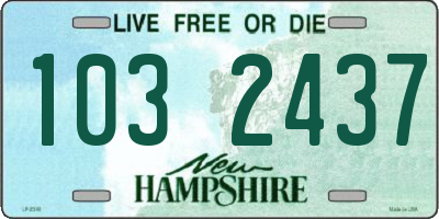 NH license plate 1032437