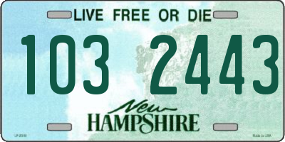 NH license plate 1032443