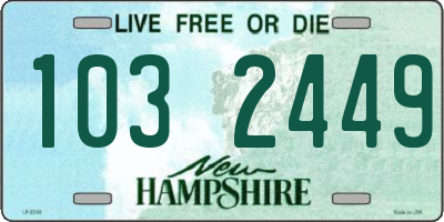 NH license plate 1032449