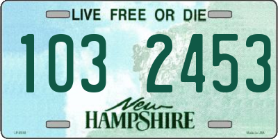 NH license plate 1032453