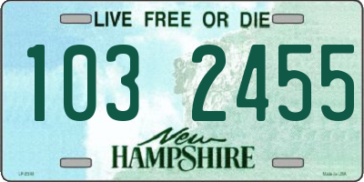 NH license plate 1032455