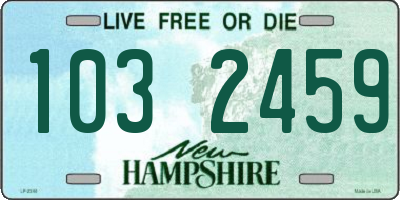 NH license plate 1032459