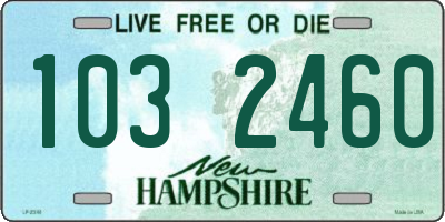 NH license plate 1032460