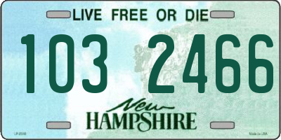 NH license plate 1032466