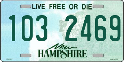 NH license plate 1032469