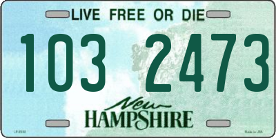 NH license plate 1032473