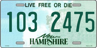 NH license plate 1032475