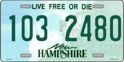 NH license plate 1032480