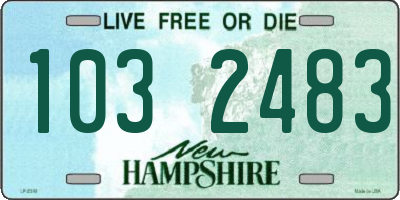NH license plate 1032483
