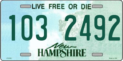 NH license plate 1032492