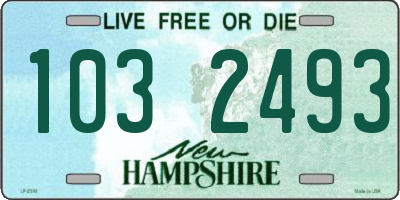 NH license plate 1032493
