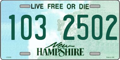 NH license plate 1032502