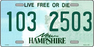 NH license plate 1032503