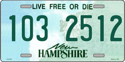 NH license plate 1032512