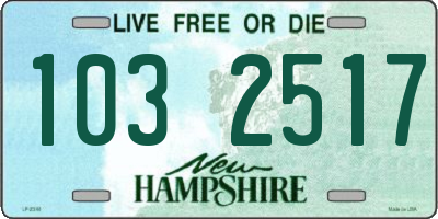 NH license plate 1032517