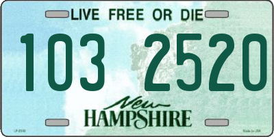 NH license plate 1032520