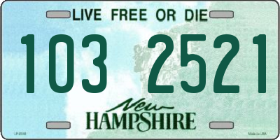 NH license plate 1032521