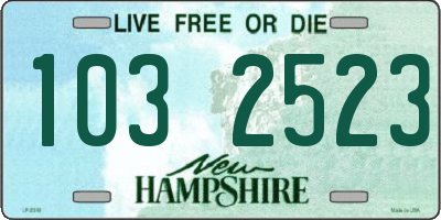 NH license plate 1032523