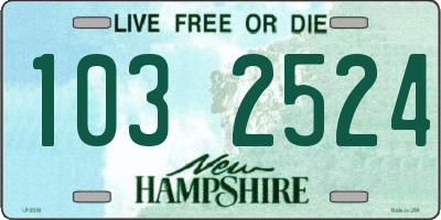 NH license plate 1032524