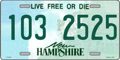 NH license plate 1032525