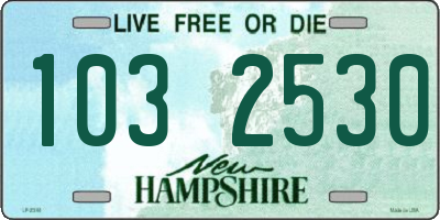 NH license plate 1032530
