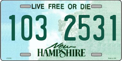 NH license plate 1032531