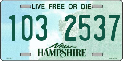 NH license plate 1032537