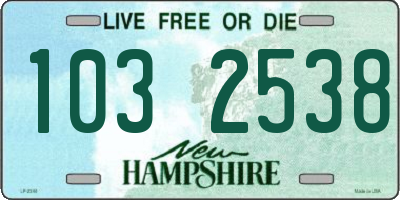 NH license plate 1032538